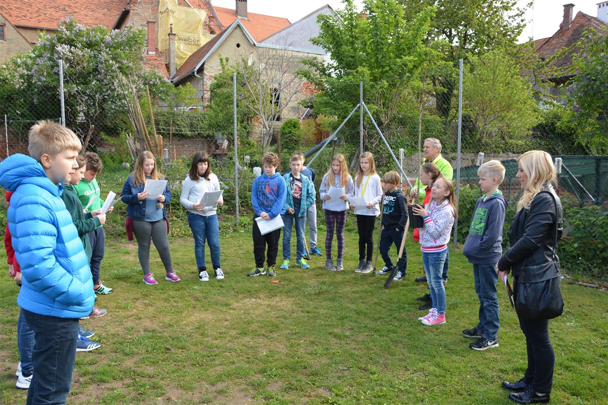 2017_04_19_sajenje_lipe-7_0