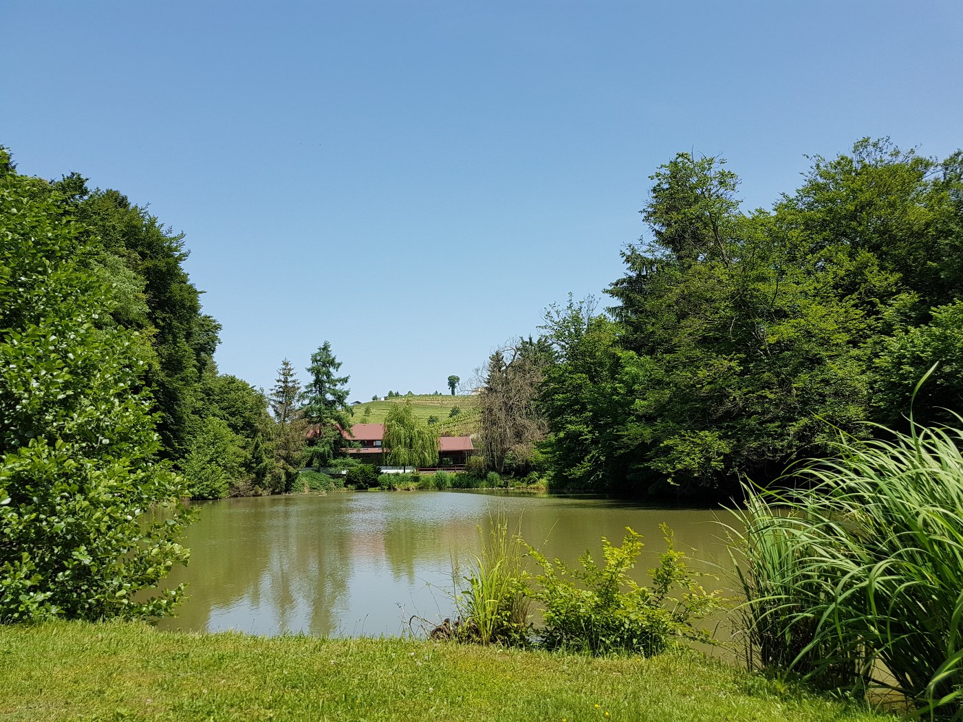 2019_06_12_naravoslovni_dan_3vio-47