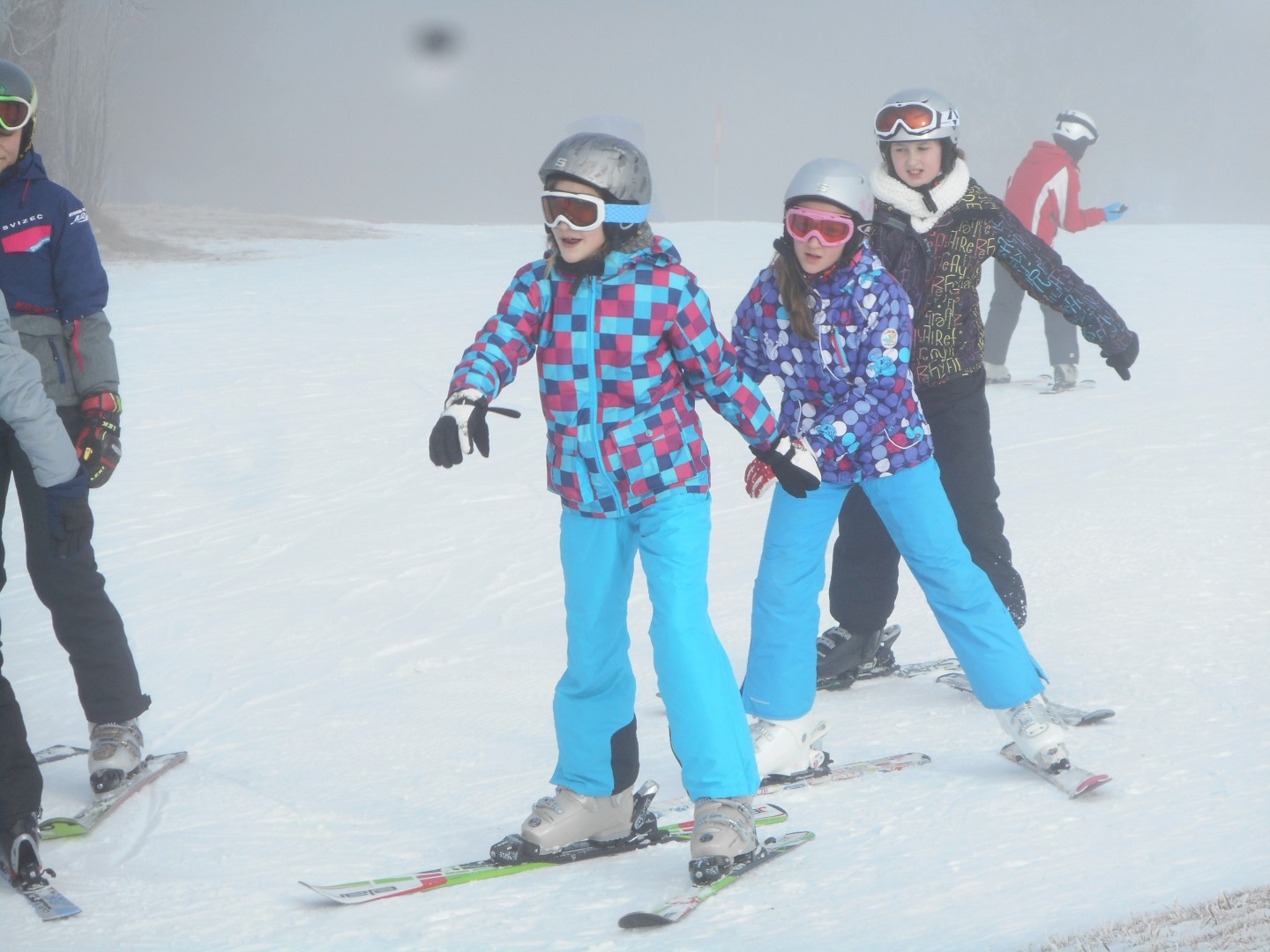 2016_12_13_sola_vnaravi2-35