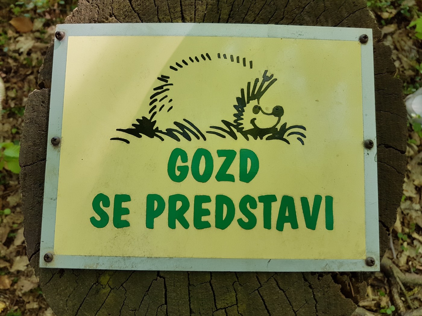 2018_04_19_naravoslovni_dan_6_9r-36