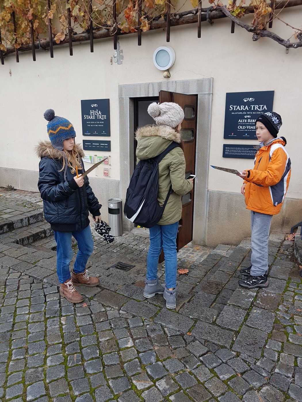 2018_11_22_angleski_projektni_dan-50
