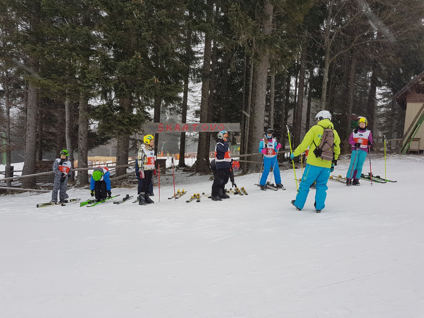 2019_01_10_zimska_svn_4-3